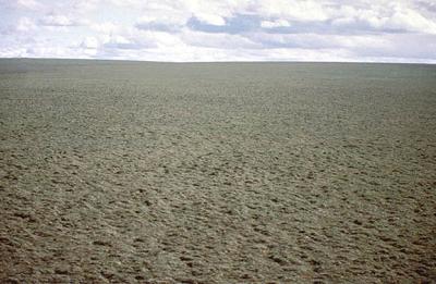 The Real ANWR