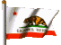 Bear Flag
