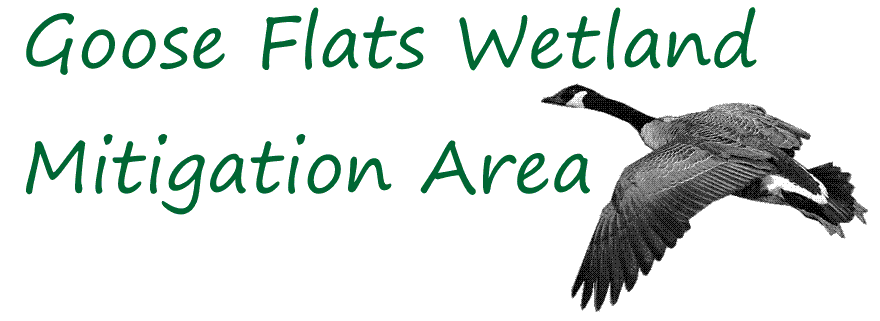 Goose Flats