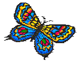 Fly Away